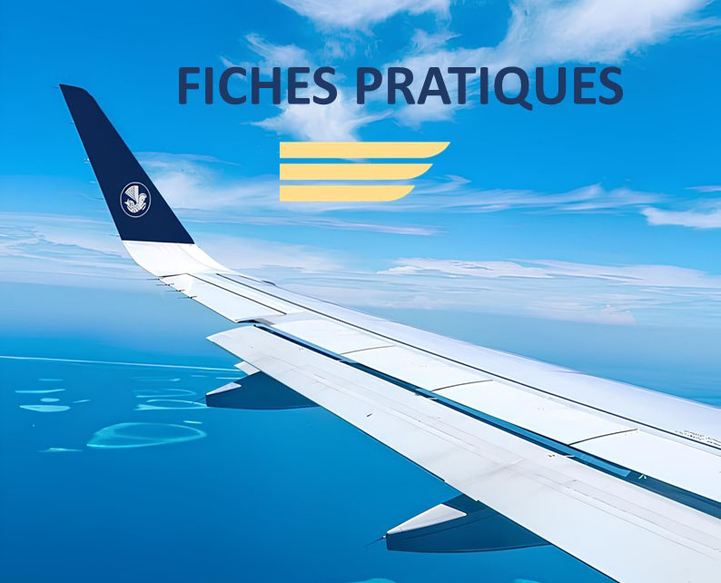 Fiches pratiques